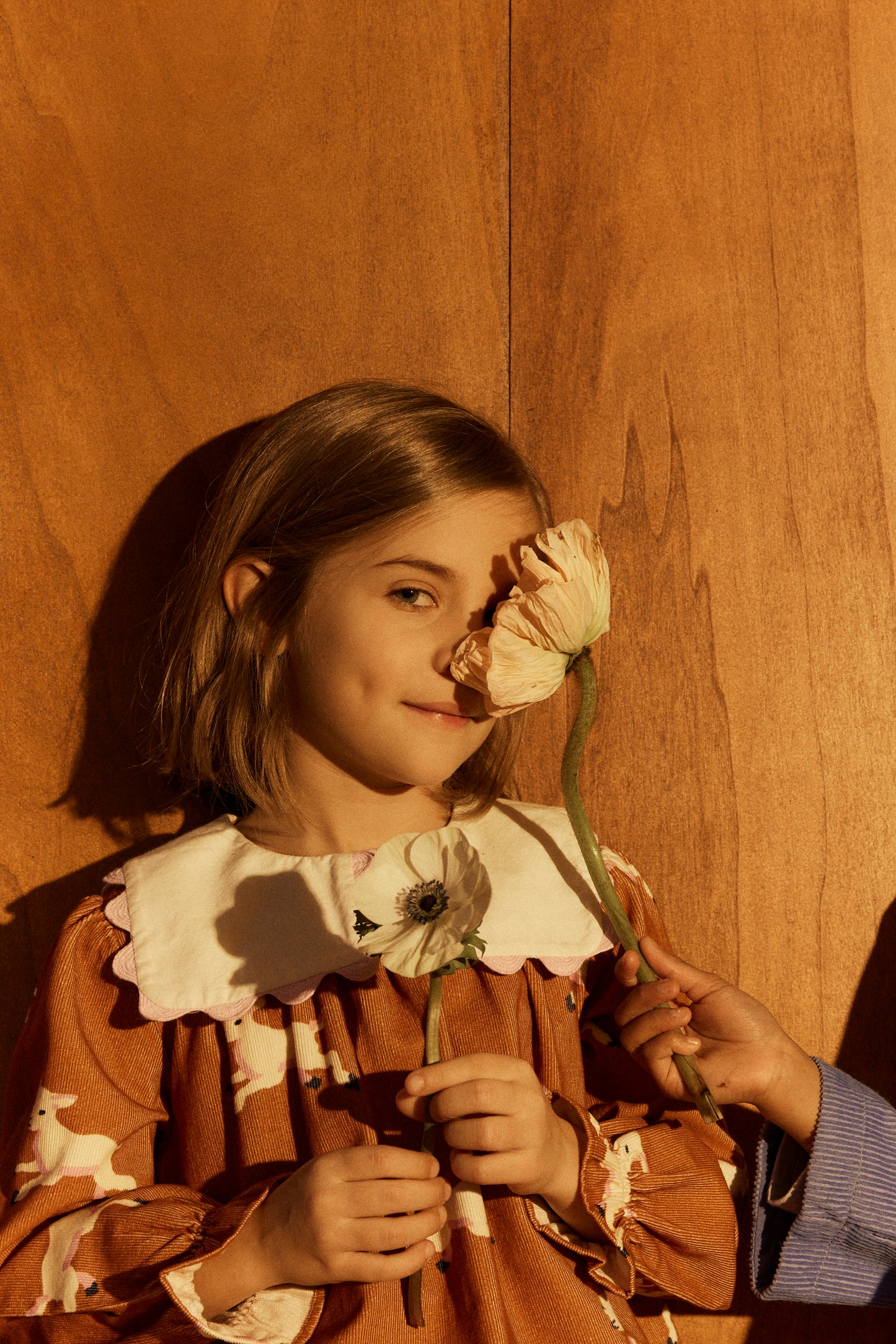 Praline blouse Lamb Sunburn