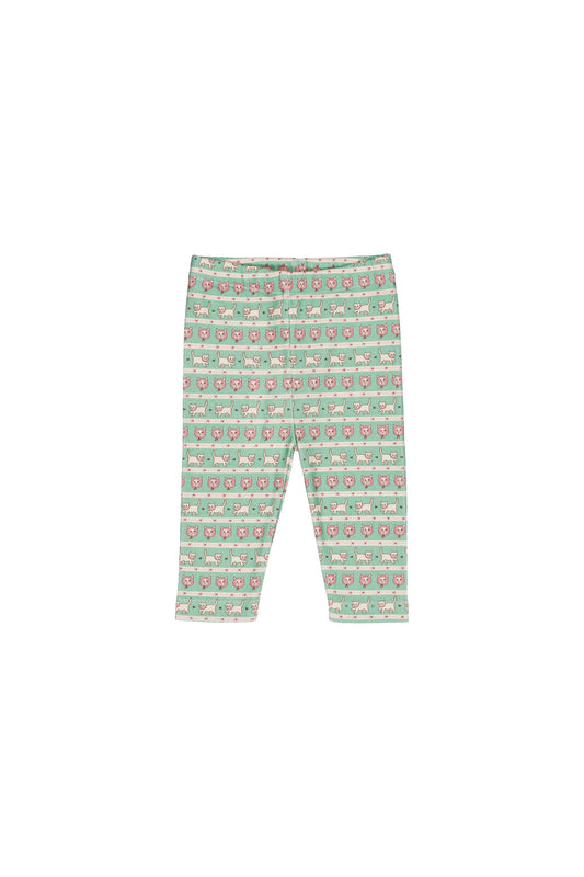 Pipa baby legging Kitty Aqua